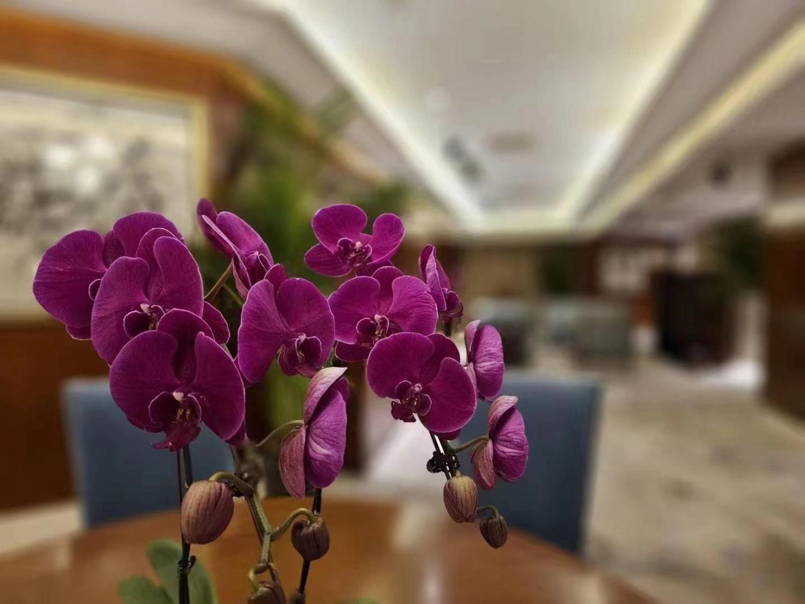 Regent Beijing Ξενοδοχείο Εξωτερικό φωτογραφία